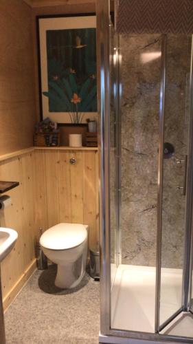 GrimstonにあるKing Nutkin Shepherds Hutのトイレとガラスのシャワー付きのバスルーム
