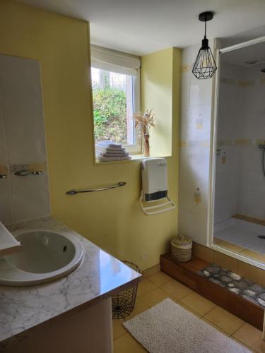 a bathroom with a sink and a shower and a mirror at Chambre d'hôte la Coquierrerie in Sottevast