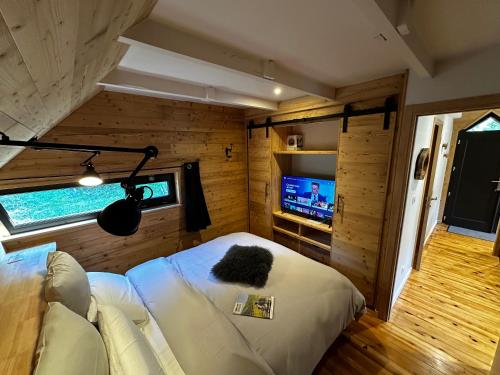 een woonkamer met een bank en een tv in een kamer bij Chalet Le 36 Le Mont Dore 6pers in Le Mont-Dore