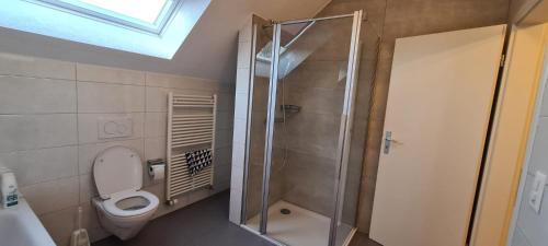 a bathroom with a toilet and a glass shower at Edel Apartments Dulliken in Dulliken