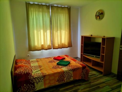 a small bedroom with a bed and a television at Party House in Tunari