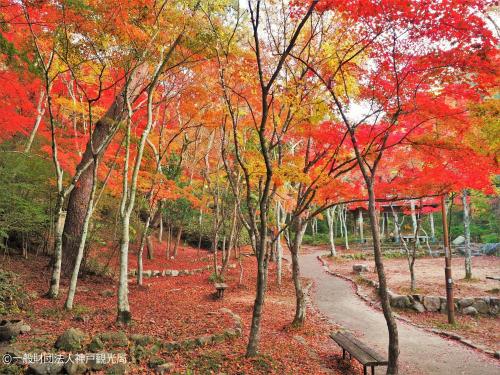 a park with a bench and trees with autumn leaves at KAMENOI HOTEL Arima in Kobe