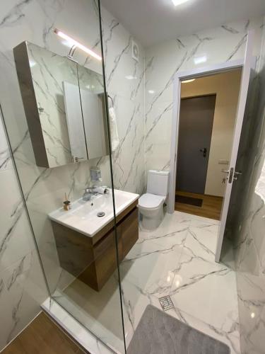 a bathroom with a sink and a mirror and a toilet at Tbilisi cozy appartment in Tbilisi City