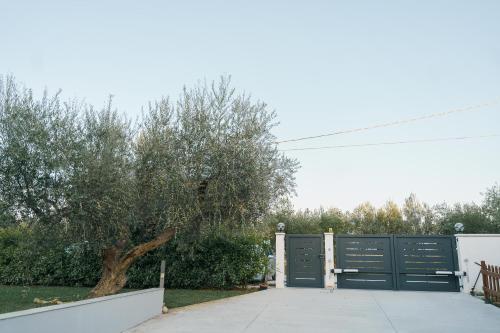Gambar di galeri bagi Tana del Riccio di Ortona