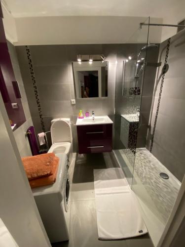 une petite salle de bain avec un lavabo et une douche dans l'établissement Studio Appartement Cannes Centre - 5 min à pied du Palais des Festivals et Congrès, à Cannes