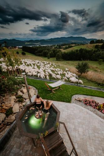 two people in a pool of water with a herd of sheep at Chata za wsią - Czorsztyn Lake, Kluszkowce Ski in Kluszkowce