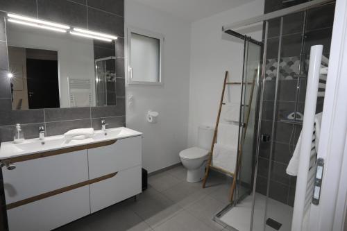 a bathroom with a sink and a toilet and a mirror at Gîte les iris Fleurs des Pyrénées in Argelès-Gazost