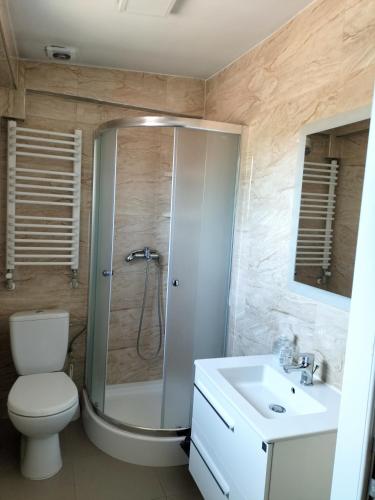W łazience znajduje się prysznic, toaleta i umywalka. w obiekcie Restauracja Pod Jabłonią w Łącku