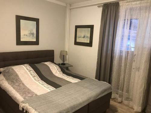 Schlafzimmer mit einem Bett und einem Fenster in der Unterkunft Ferienwohnung Gartenlaube in Borkum