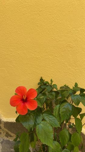Fotografie z fotogalerie ubytování B&B Le Cinque Porte v destinaci Fisciano