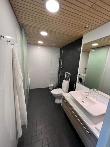 a bathroom with a sink and a toilet and a mirror at Kotimaailma - Tyylikäs kaksio keskustan tuntumassa in Helsinki