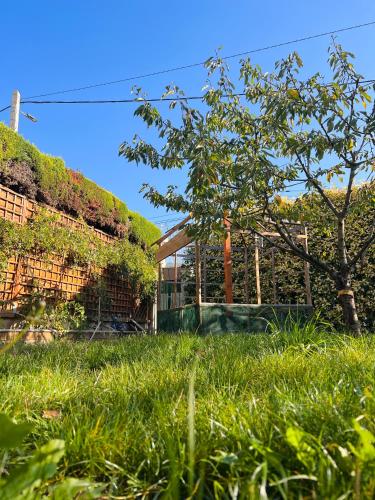a garden with a tree in the grass at LOU PANTAI in Levens