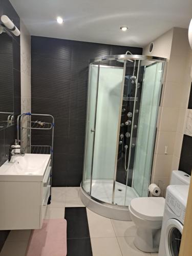 a bathroom with a shower and a toilet and a sink at Apartament w Bursztynowych Komnatach in Darłówko