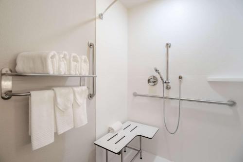a bathroom with a shower and white towels at Econo Lodge Inn & Suites Foley-North Gulf Shores in Foley