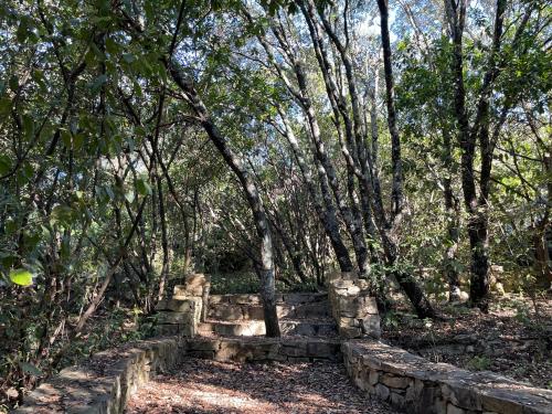 Κήπος έξω από το La Canopée Private Ecolodges