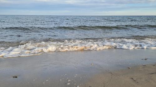 a beach with the ocean and some waves at Ferienwohnung Kiekut 1 in Maasholm