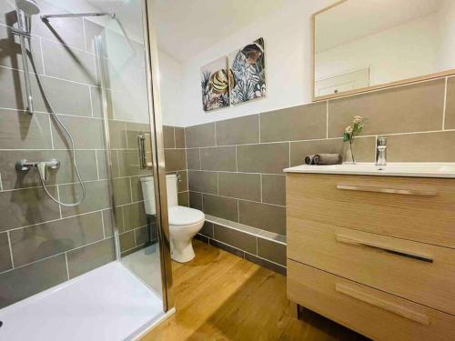 une salle de bain avec une douche, des toilettes et un lavabo dans l'établissement Elegant and Charming Townhouse with roof terrace, à Limoux