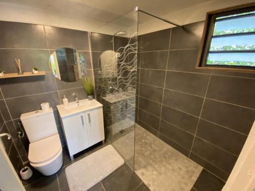 a bathroom with a toilet and a glass shower at Kaz ananas, spa privatif ,plage du Helleux in Sainte-Anne