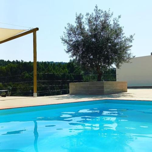 a blue swimming pool with a tree in the background at Quinta das Reveladas in Marvão