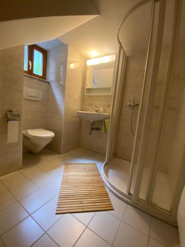 a bathroom with a shower and a toilet and a rug at Casa nonna Domenica in Brontallo