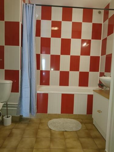La salle de bains est pourvue d'un mur en damier rouge et blanc. dans l'établissement Les Appartements de Johann, à Besse-et-Saint-Anastaise