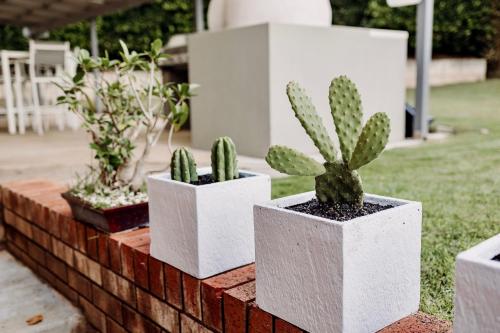 Un jardín fuera de Valley View Home - Barrel Sauna, Woodfired Pizza Oven, Firepit, Kids Playset