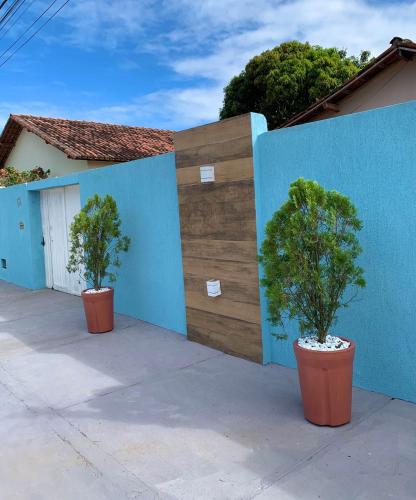 two plants in pots in front of a blue wall at Casa próximo da praia in Prado