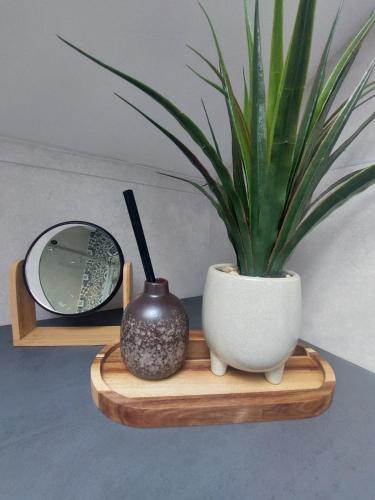 a potted plant sitting on a wooden shelf with a mirror at COMFORT Suites VELIKA GORICA in Velika Gorica