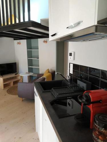 une cuisine avec un comptoir noir et un salon dans l'établissement Cocoon - marché central, à La Rochelle