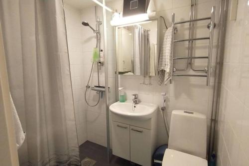 a bathroom with a sink and a toilet and a mirror at Apartment for work & freetime, heated parking, own sheets or rent them in Helsinki