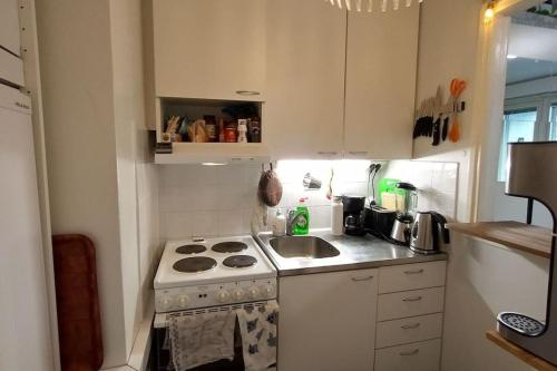 Cuina o zona de cuina de Apartment for work & freetime, heated parking, own sheets or rent them