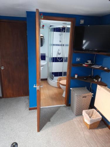 a bathroom with a toilet and a television in a room at Betty's retreat in Cheshunt