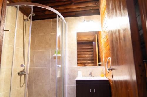 uma casa de banho com um chuveiro e um lavatório. em CABAÑAS PIRCAS DE CAMPO em Tanti