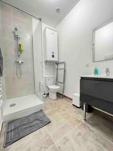 une salle de bain avec une douche, des toilettes et un lavabo dans l'établissement L'Agate Verte - Romans, à Romans-sur-Isère