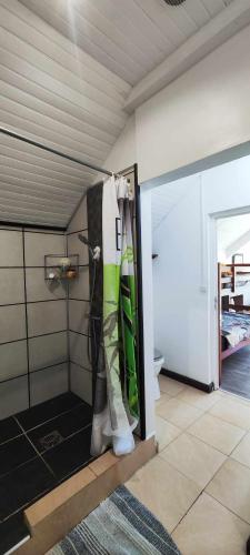a room with a bathroom with a shower and a toilet at La ch'tite montagne in Cilaos