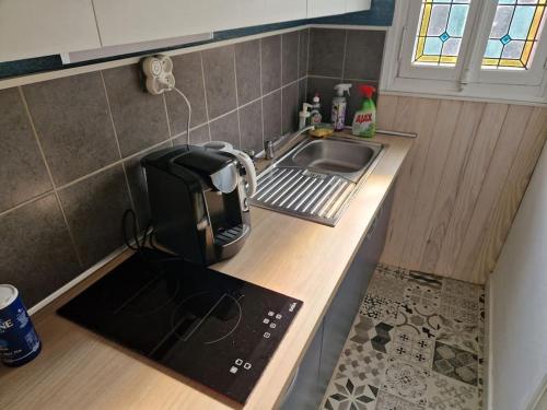 une petite cuisine avec un évier et un micro-ondes dans l'établissement Maison ville haute Bar le Duc, à Bar-le-Duc