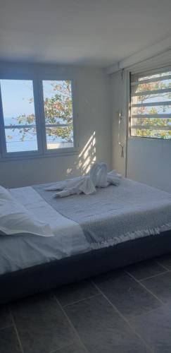 uma cama num quarto com duas janelas em Au Panorama F3 2 chbres em La Possession