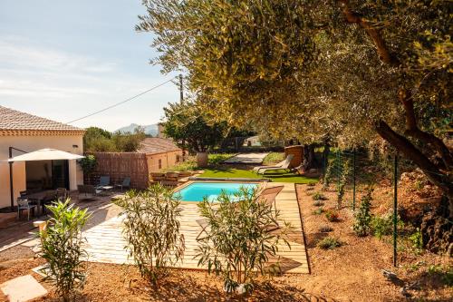 une cour avec une piscine et un arbre dans l'établissement La Bastide des Oliviers, à Auriol