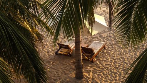 ein paar Stühle und eine Palme am Strand in der Unterkunft Cardamon Hotel Nilaveli in Nilaveli