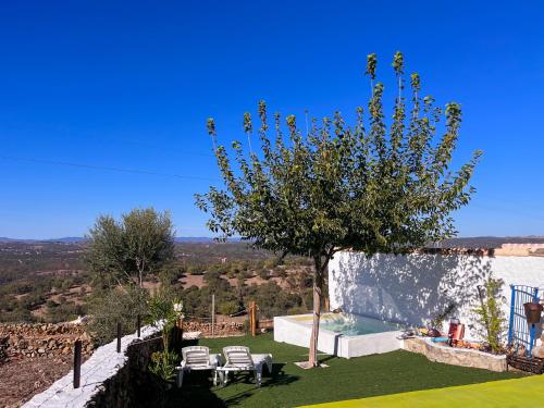 a garden with a tree and a swimming pool at El Coso Lodge & Workation in Zalamea la Real