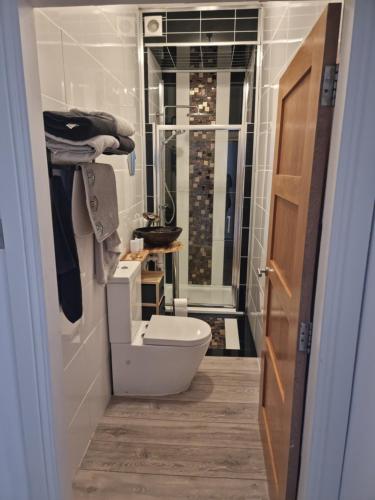 a small bathroom with a toilet and a shower at Lido Bay Ground Floor Apartment in Largs
