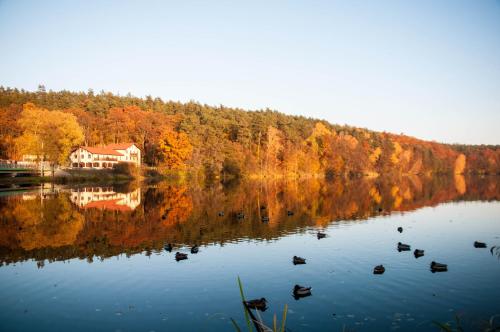 a house on a lake with ducks in the water at Przystanek Tleń in Tleń