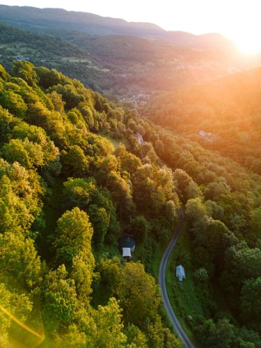 Vue aérienne d'une route dans une forêt dans l'établissement Les songes du chêne, à Augirein