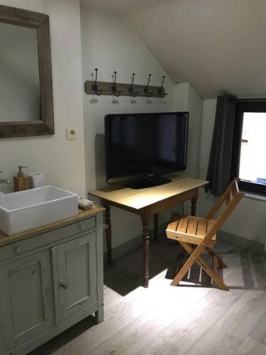 a bathroom with a television and a desk with a sink at Petite maison Liégeoise «la cabane de Liège» in Liège