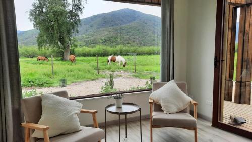 una habitación con 2 sillas y una ventana con caballos en el campo en Tiny Houses Casablanca en Casablanca