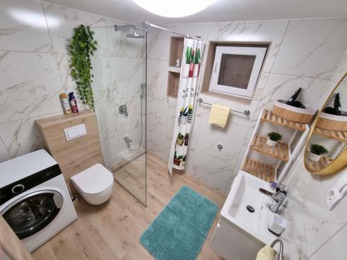 a bathroom with a shower and a toilet and a sink at Apartment in Crikvenica 5155 in Crikvenica
