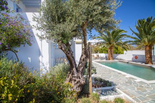 Gallery image of Amphitrite Apartments Skyros in Skiros