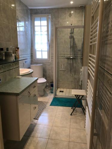 un bagno con doccia, WC e lavandino di « Chez Annie » a Doué-la-Fontaine