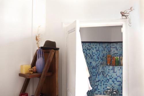 ein Badezimmer mit einer Dusche mit einem blau gefliesten Duschvorhang in der Unterkunft Chez Fred & Aldo Banyuls sur Mer in Banyuls-sur-Mer