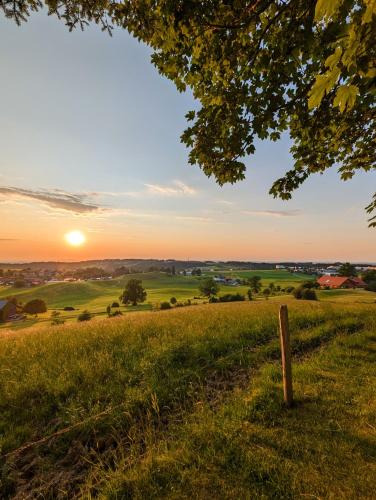 a sunset over a field with the sun in the sky at Ferienwohnung BergOase mit Pool & Sauna in Scheidegg
